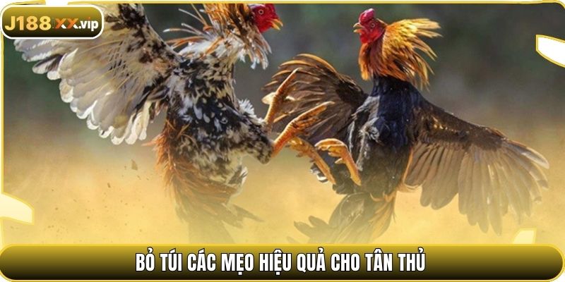 Bỏ túi các mẹo hiệu quả cho tân thủ