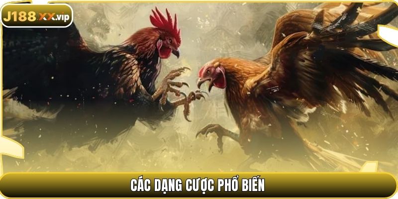 Các dạng cược phổ biến