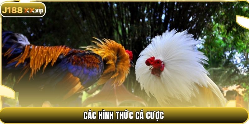 Các hình thức cá cược