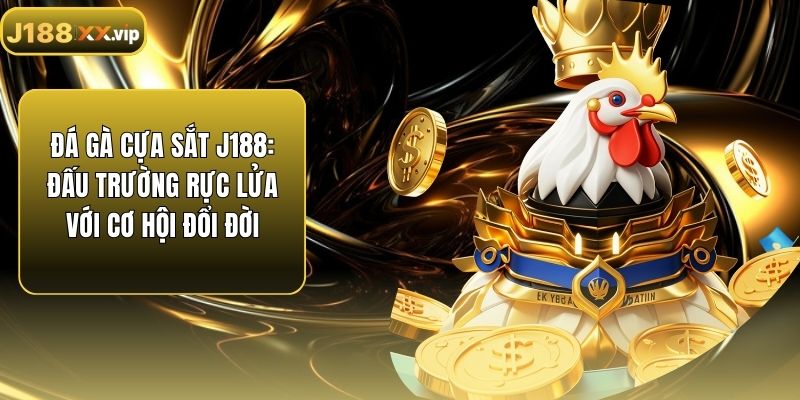 Đá Gà Cựa Sắt J188: Đấu Trường Rực Lửa Với Cơ Hội Đổi Đời