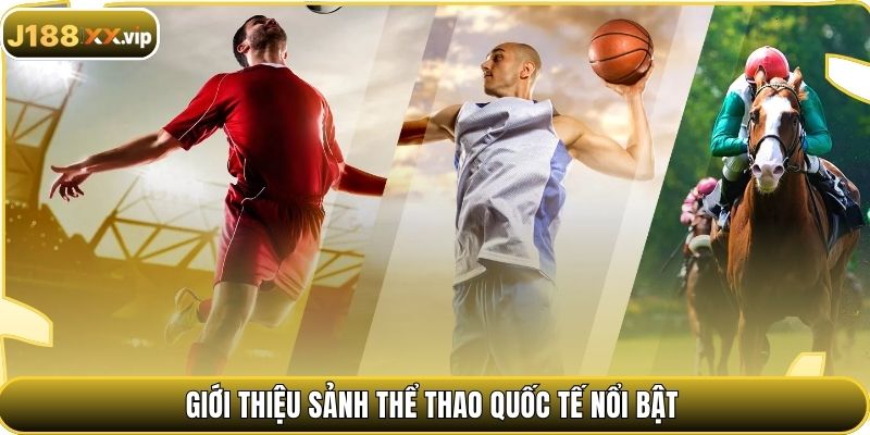 Giới thiệu sảnh thể thao quốc tế nổi bật