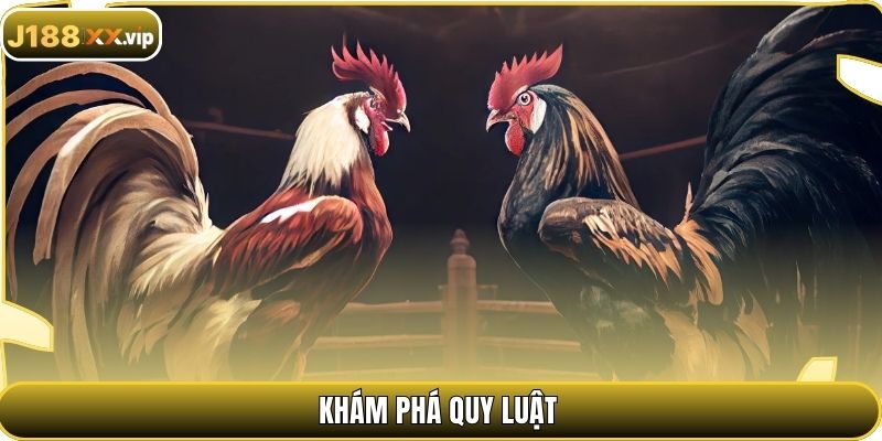 Khám phá quy luật