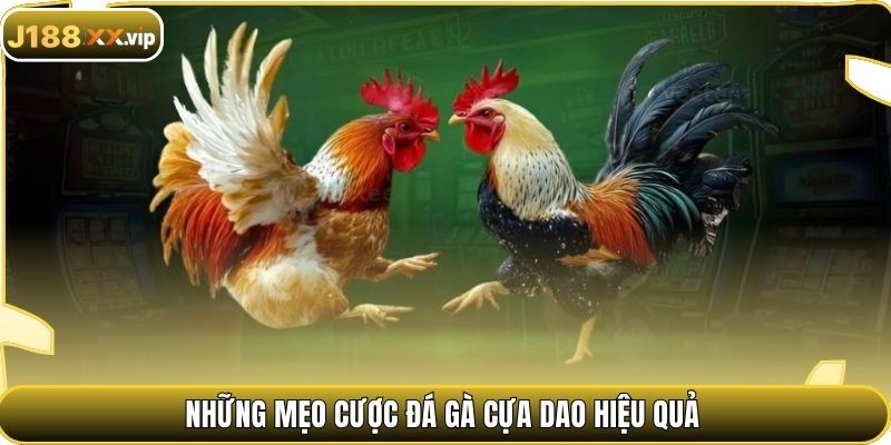 Những mẹo cược đá gà cựa dao hiệu quả