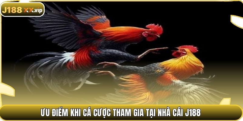 Ưu điểm khi cá cược tham gia tại nhà cái J188