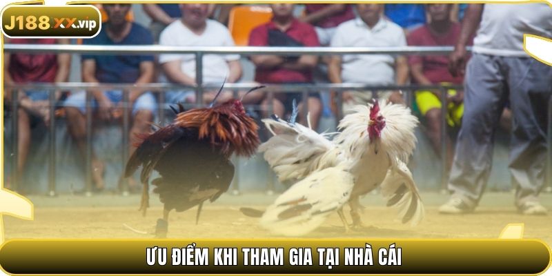 Ưu điểm khi tham gia tại nhà cái